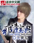 邪情宝典