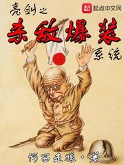 亮剑之杀敌爆装系统